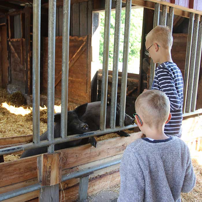 Kids auf dem Hof